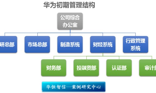 植物姜的药用网 - 姜植物图片,姜植物图片