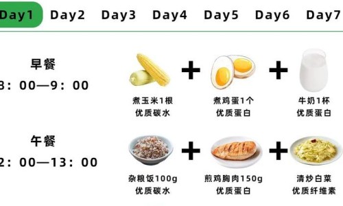 姜 植物-植物姜的药用网 - 姜植物图片,姜植物图片